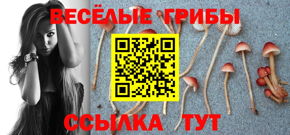 Псилоцибиновые грибы прущие грибы  Галлюциногенные грибы Psilocybe  Бузулук  Вход с VPN 